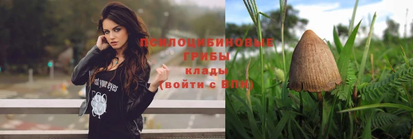 соль ск Аркадак
