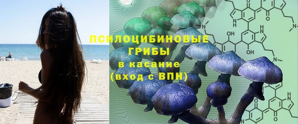 соль ск Аркадак